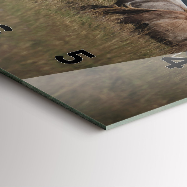 Reloj cuadrado Caballos al galope