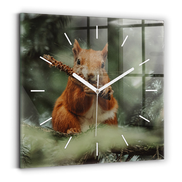Reloj cuadrado Ardilla y fauna salvaje