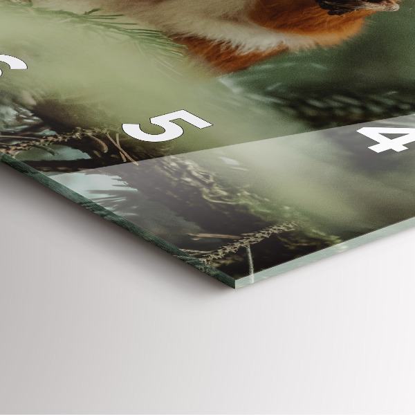 Reloj cuadrado Ardilla y fauna salvaje