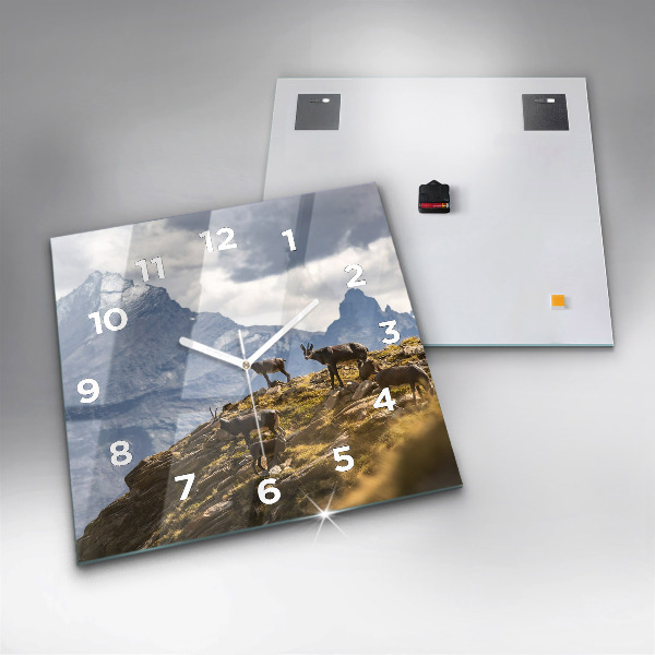 Reloj cuadrado Cabra en el Valle de Aosta