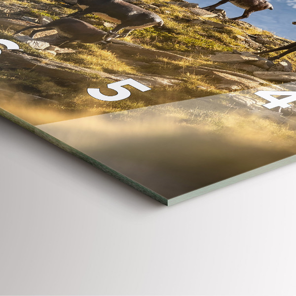 Reloj cuadrado Cabra en el Valle de Aosta