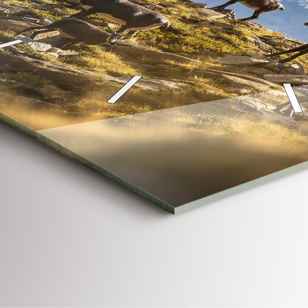 Reloj cuadrado Cabra en el Valle de Aosta