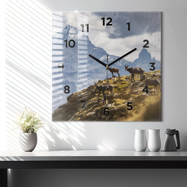 Reloj cuadrado Cabra en el Valle de Aosta
