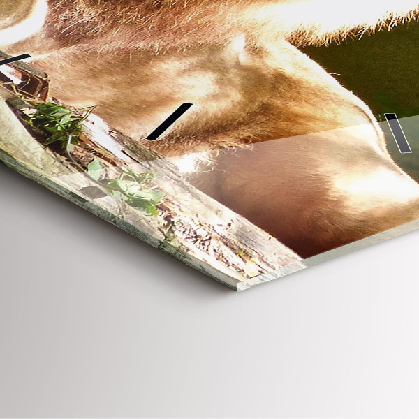 Reloj de pared cuadrado Retrato de un león