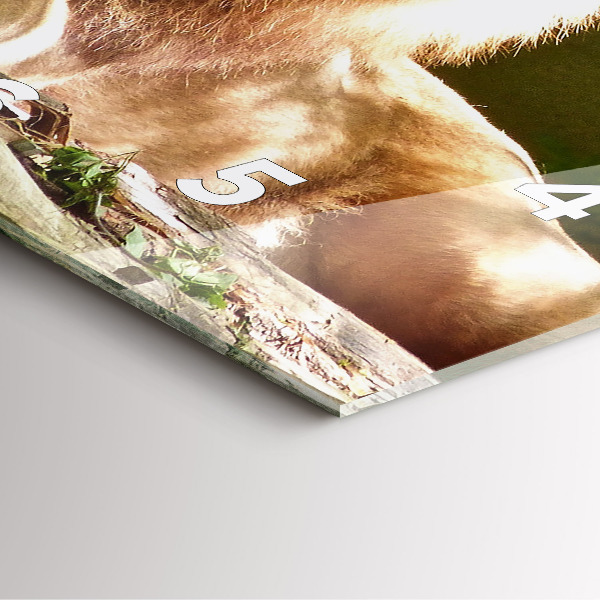 Reloj de pared cuadrado Retrato de un león