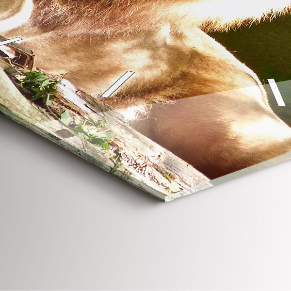 Reloj de pared cuadrado Retrato de un león