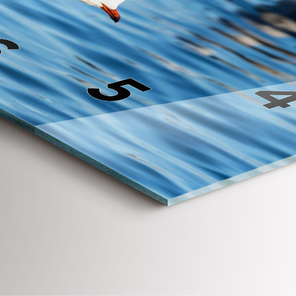 Reloj cuadrado Gaviotas en Gdynia