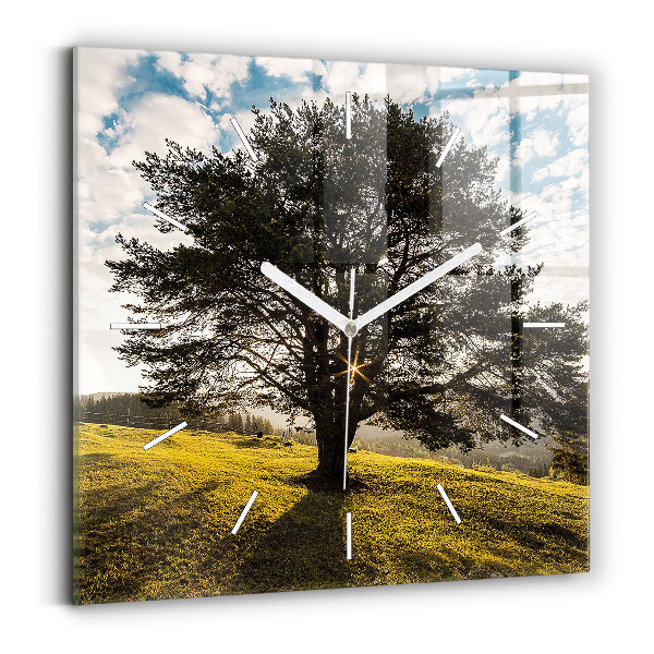 Reloj cuadrado Árbol en una colina