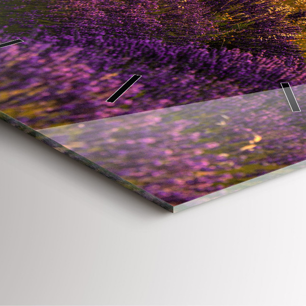 Reloj cuadrado Pradera de lavanda Francia