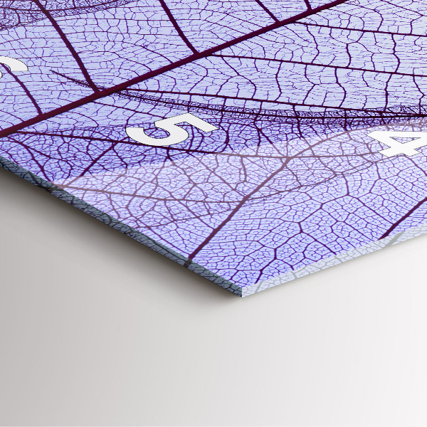 Reloj cuadrado Hojas de la naturaleza