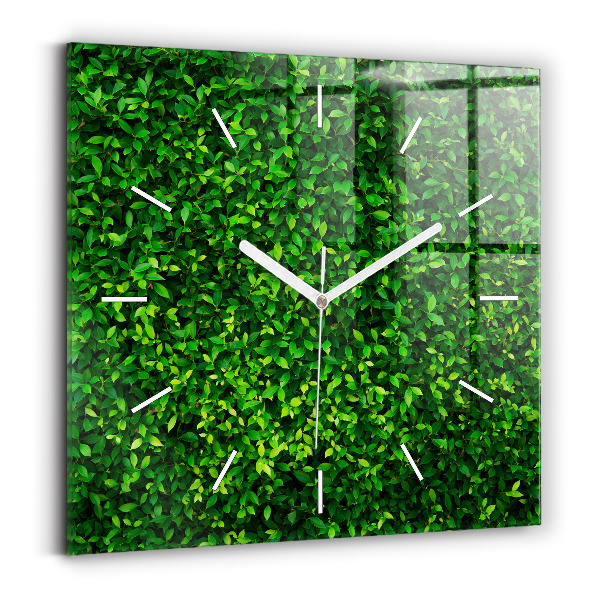 Reloj de pared cuadrado Hojas de seto