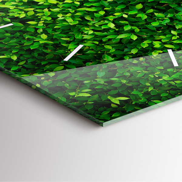 Reloj de pared cuadrado Hojas de seto