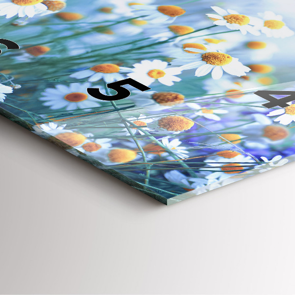 Reloj de pared cuadrado Mariposa en un prado