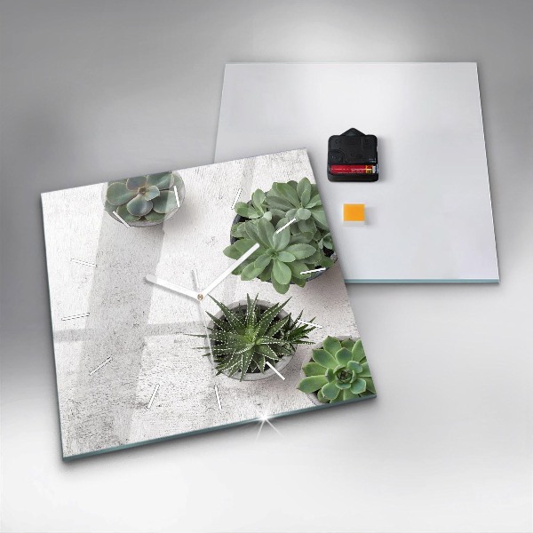 Reloj cuadrado Plantas decorativas