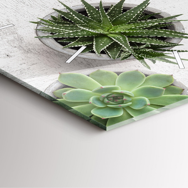 Reloj cuadrado Plantas decorativas