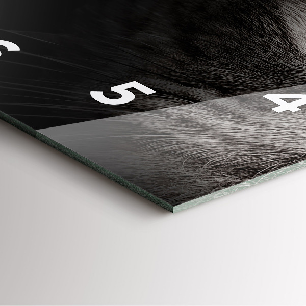 Reloj cuadrado Perro y gato escoceses