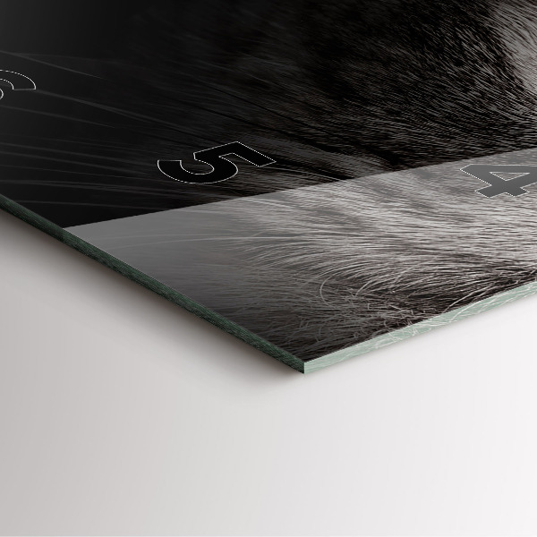 Reloj cuadrado Perro y gato escoceses