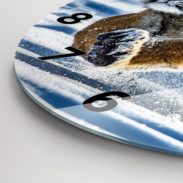 Reloj de cristal redondo Paso adelante audaz