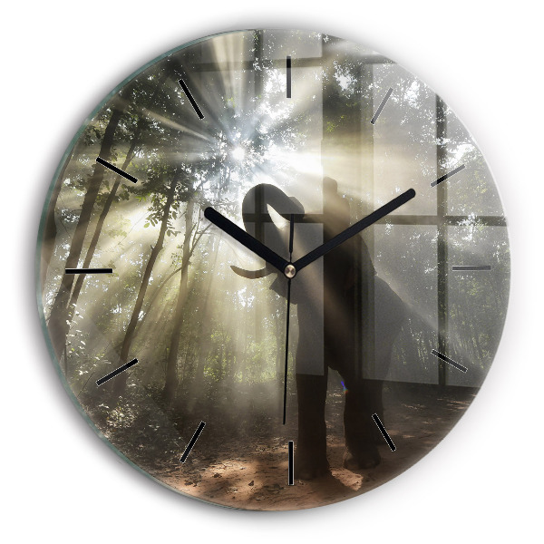 Reloj redondo pared Elefante en la jungla