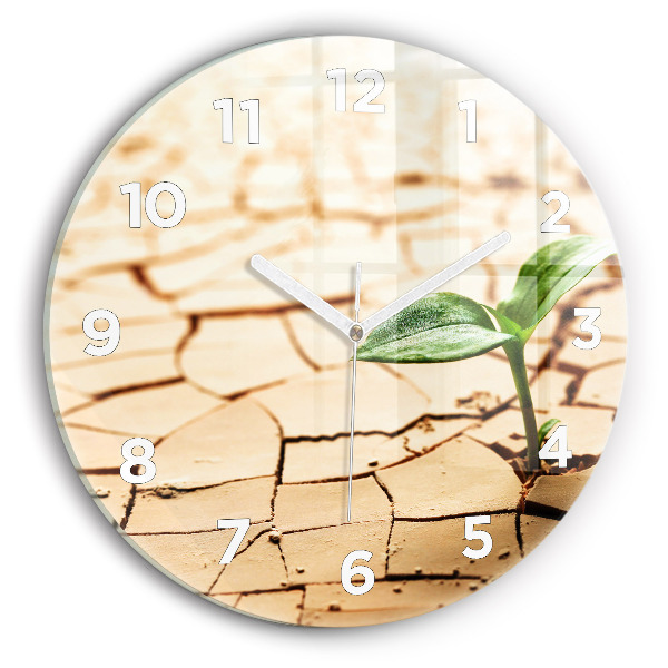 Reloj redondo pared Planta en tierra seca