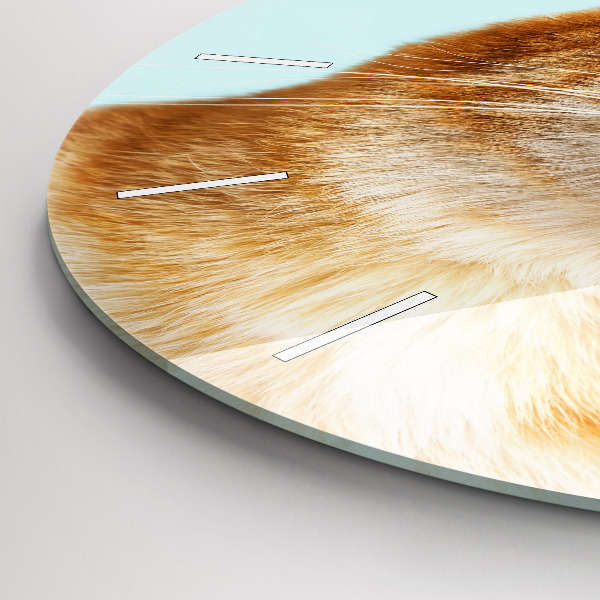 Reloj de cristal redondo Divertido gato con gafas