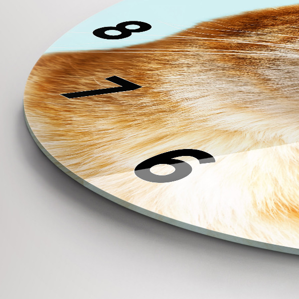 Reloj de cristal redondo Divertido gato con gafas