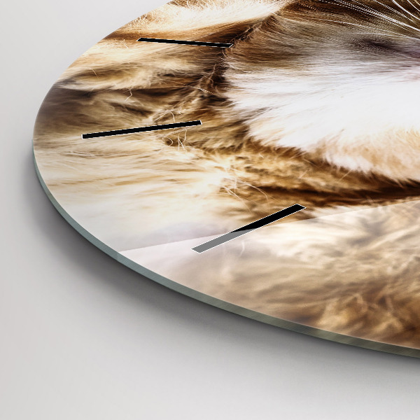 Reloj redondo pared Gatito durmiendo