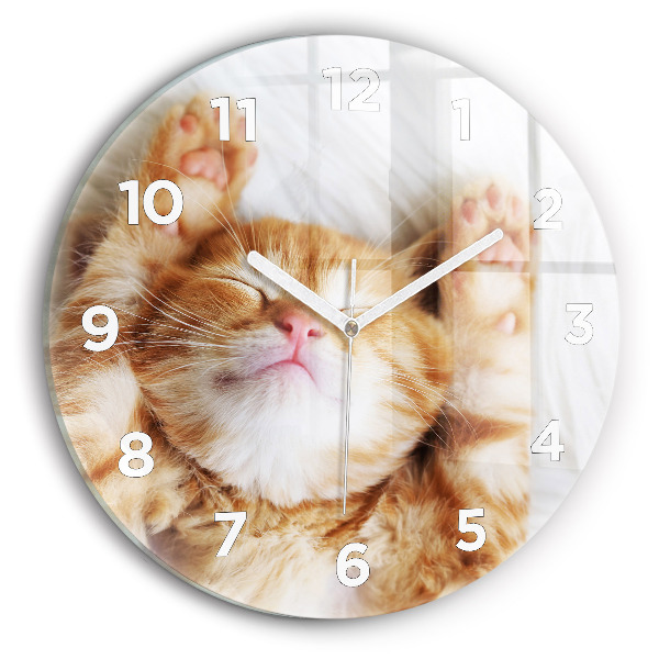Reloj redondo pared Gatito durmiendo