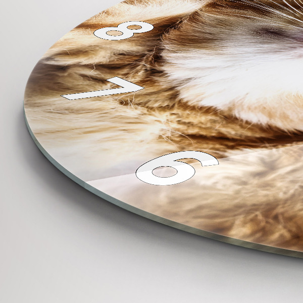 Reloj redondo pared Gatito durmiendo