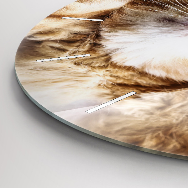 Reloj redondo pared Gatito durmiendo