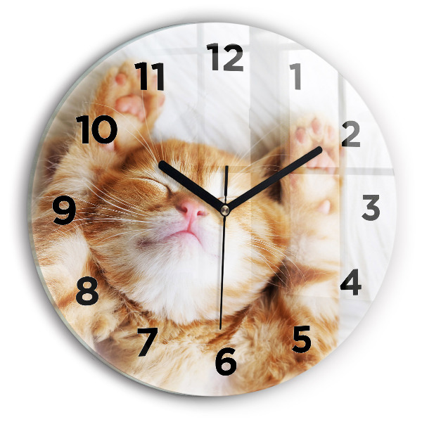 Reloj redondo pared Gatito durmiendo