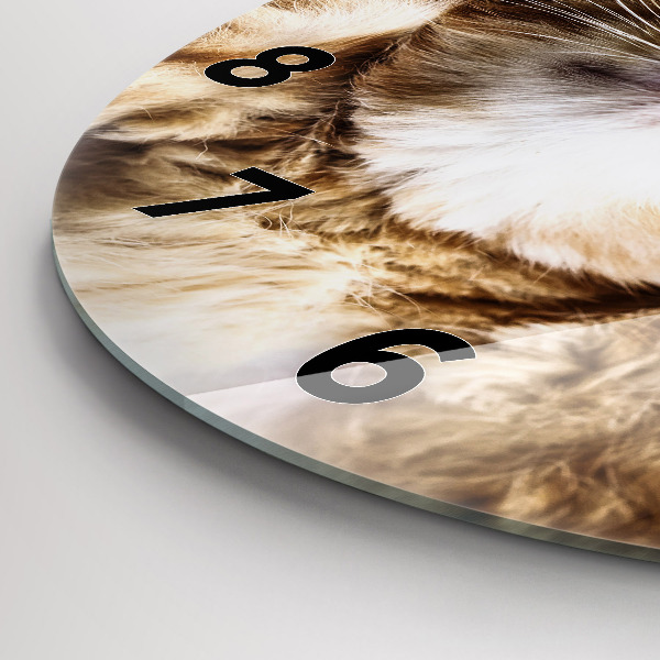 Reloj redondo pared Gatito durmiendo