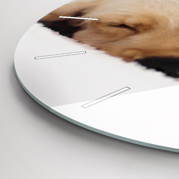 Reloj de cristal redondo Gato y perro durmiendo