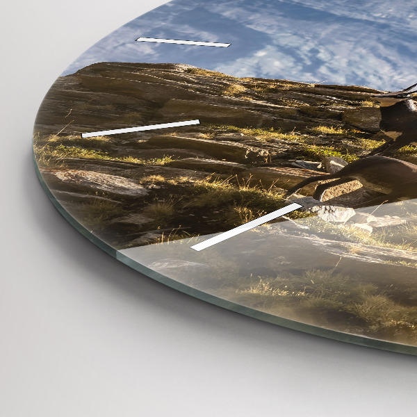 Reloj redondo pared Cabra en el Valle de Aosta