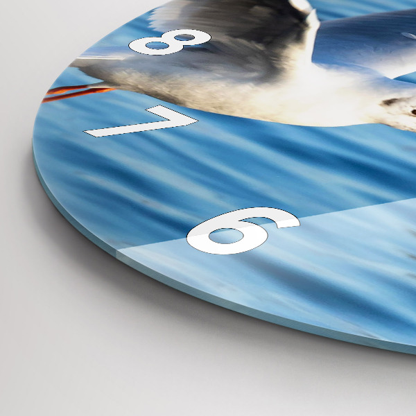 Reloj redondo pared Gaviotas en Gdynia