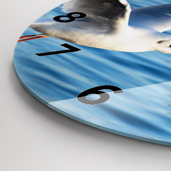 Reloj redondo pared Gaviotas en Gdynia