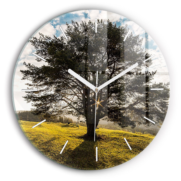 Reloj de pared redondo Árbol en una colina