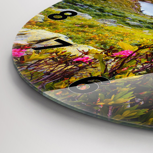 Reloj de pared redondo Glaciar del Mont Blanc Chamonix