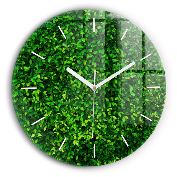 Reloj de pared redondo Hojas de seto
