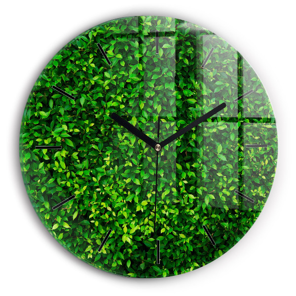 Reloj de pared redondo Hojas de seto