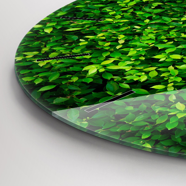 Reloj de pared redondo Hojas de seto