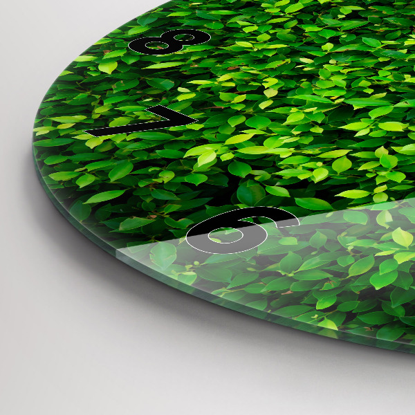 Reloj de pared redondo Hojas de seto