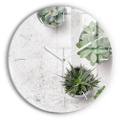 Reloj de cristal redondo Plantas decorativas