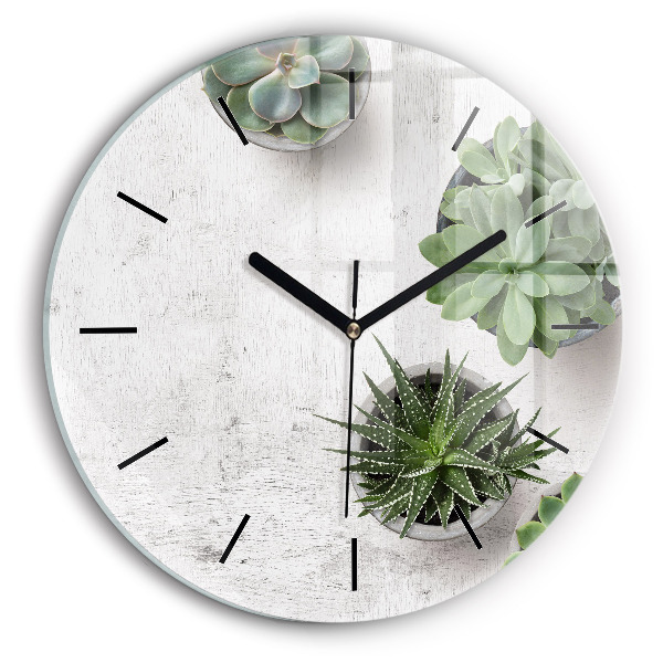 Reloj de cristal redondo Plantas decorativas