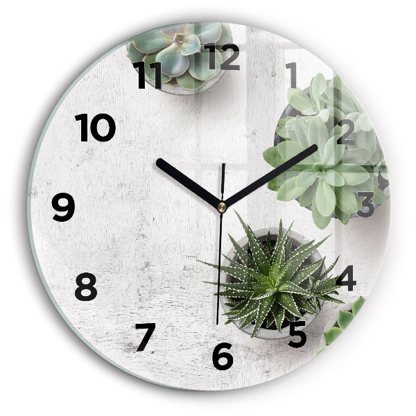 Reloj de cristal redondo Plantas decorativas