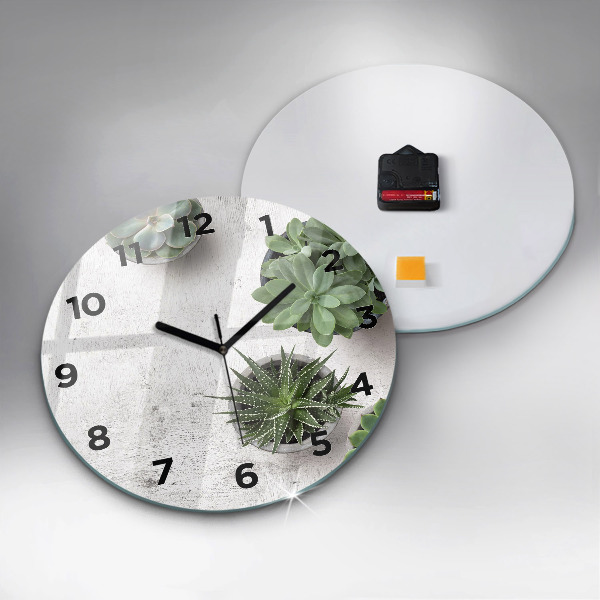 Reloj de cristal redondo Plantas decorativas