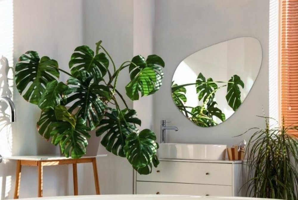 espejo para un cuarto de baño blanco
